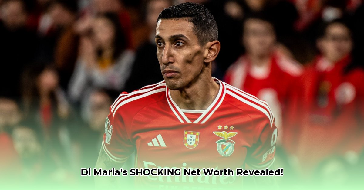 di-maria-net-worth